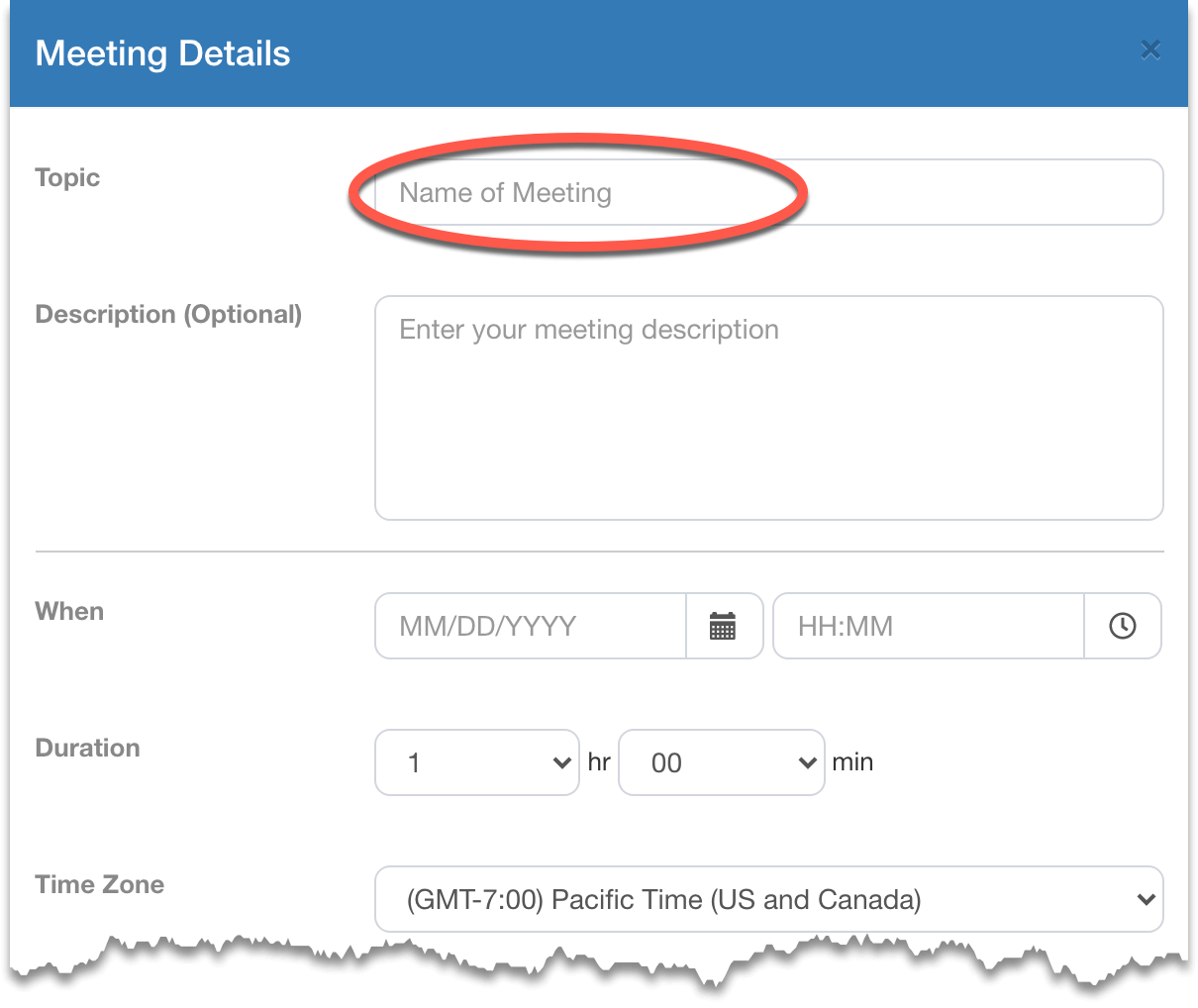 Fill in the meeting details